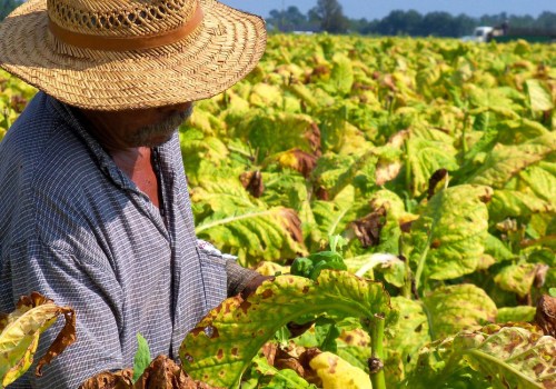 Exploring Human Rights Initiatives in Harbinger, North Carolina